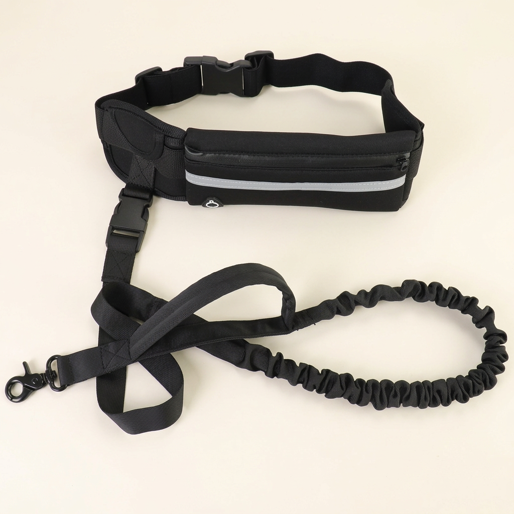 Ensemble ceinture et laisse noires