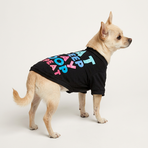 Modèle noir porté par un petit chien