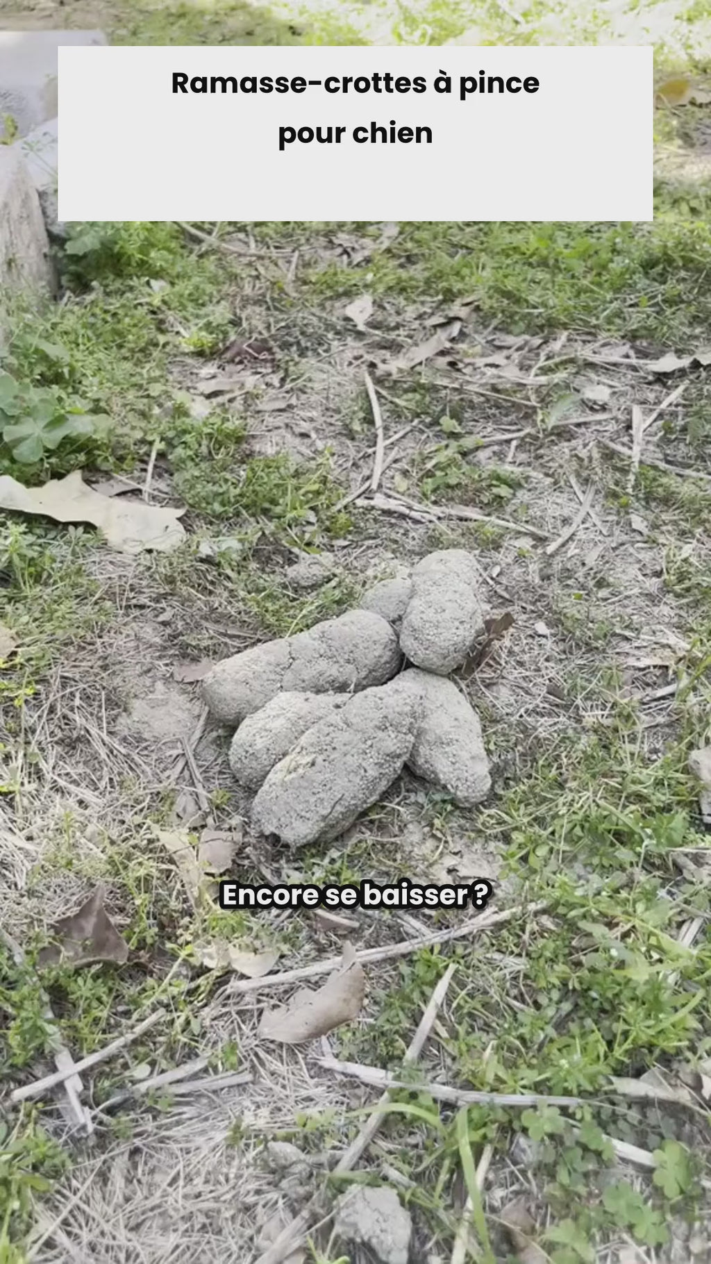 Ramasse-crottes à pince avec distributeur de sacs intégré
